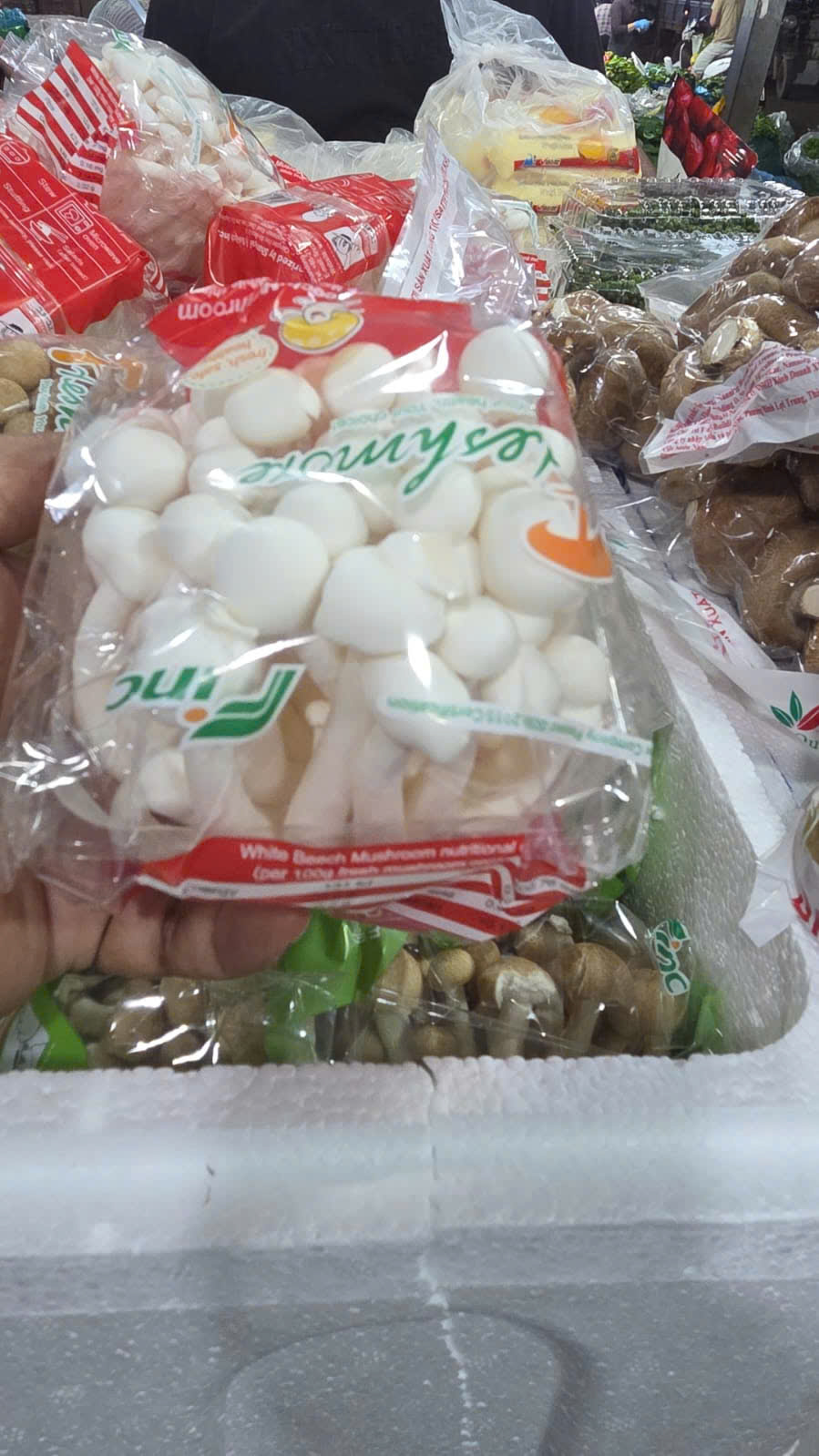 Nấm linh chi trắng