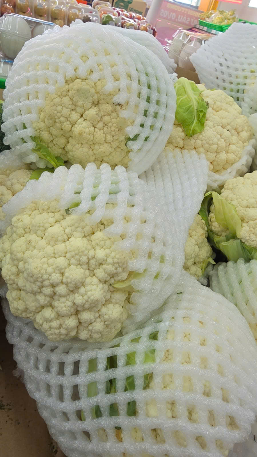 Bông cải trắng
