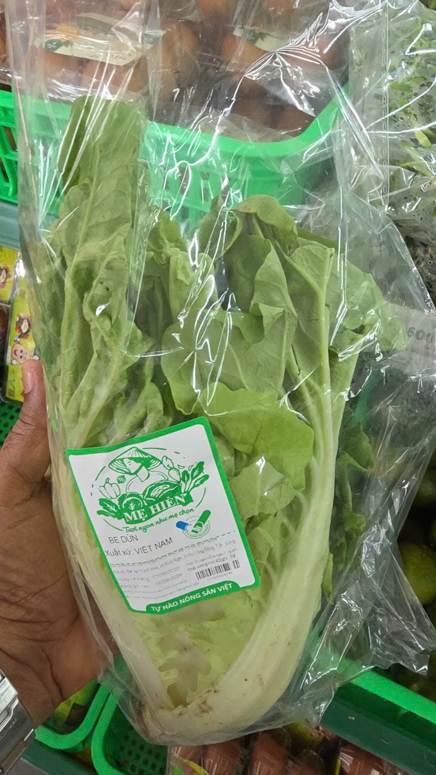 Cải bẹ dún